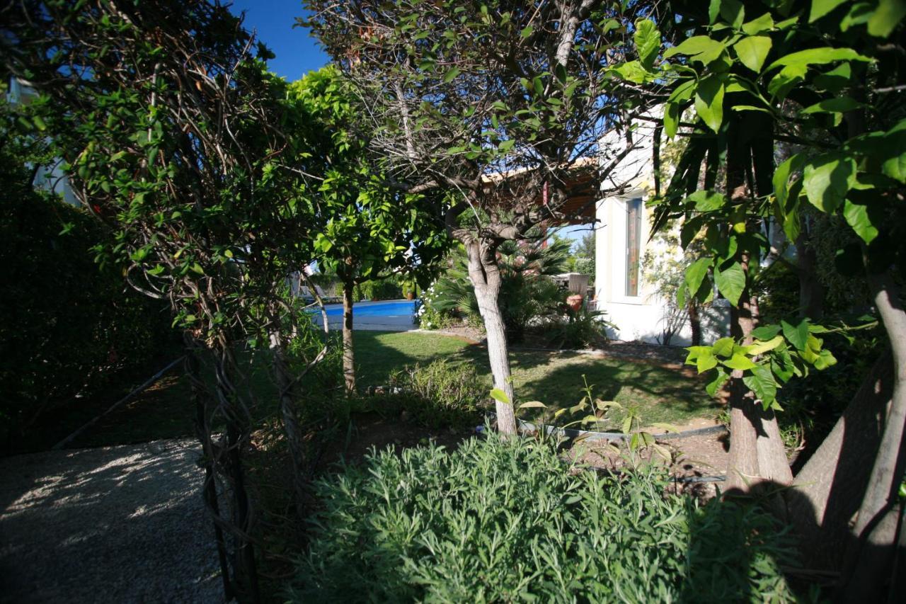 Beach Villa Sofia Neo Chorio Exterior photo