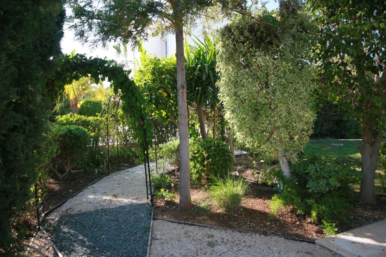 Beach Villa Sofia Neo Chorio Exterior photo