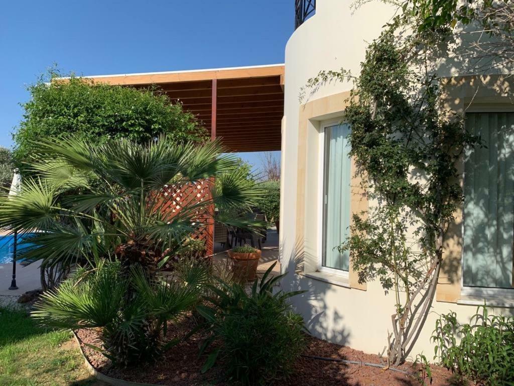 Beach Villa Sofia Neo Chorio Exterior photo